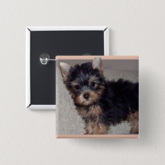 Yorkshire Terrier puppy button (Voorkant /achterkant)