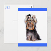 Yorkshire Terrier Puppy Dog Blank Blue Briefkaart (Voorkant / Achterkant)