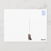 Yorkshire Terrier Puppy Dog Blank Blue Briefkaart (Achterkant)