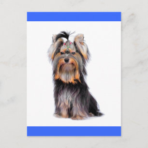 Yorkshire Terrier Puppy Dog Blank Blue Briefkaart