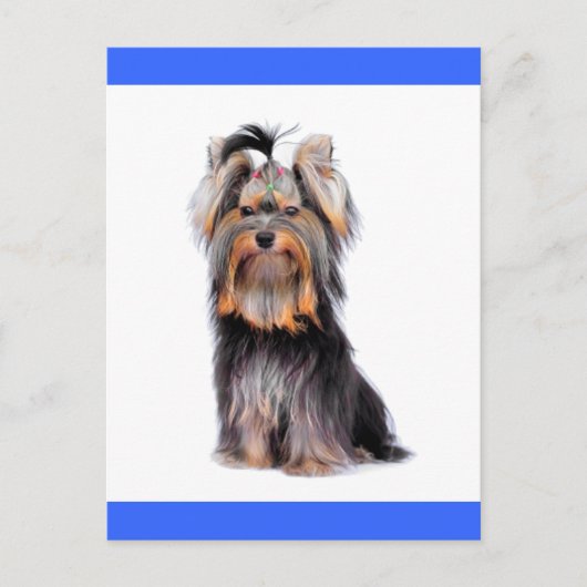 Yorkshire Terrier Puppy Dog Blank Blue Briefkaart (Voorkant)