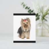 Yorkshire Terrier Puppy Dog Blank Briefkaart (Staand voorkant)