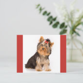 Yorkshire Terrier Puppy Dog Blank Briefkaart (Staand voorkant)