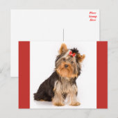 Yorkshire Terrier Puppy Dog Blank Briefkaart (Voorkant / Achterkant)