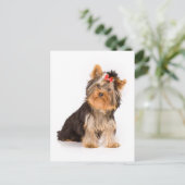 Yorkshire Terrier Puppy Dog Blank Briefkaart (Staand voorkant)