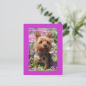 Yorkshire Terrier Puppy Dog Blank Paarse Briefkaar Briefkaart (Staand voorkant)