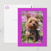 Yorkshire Terrier Puppy Dog Blank Paarse Briefkaar Briefkaart (Voorkant / Achterkant)