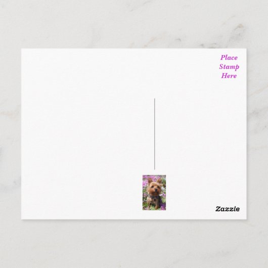 Yorkshire Terrier Puppy Dog Blank Paarse Briefkaar Briefkaart (Achterkant)