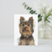 Yorkshire Terrier Puppy Dog Blank Post Card Briefkaart (Staand voorkant)