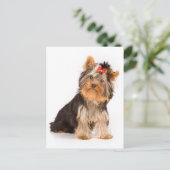 Yorkshire Terrier Puppy Dog Blank Postcard Briefkaart (Staand voorkant)