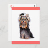 Yorkshire Terrier Puppy Dog Blank Roze Briefkaart (Voorkant / Achterkant)