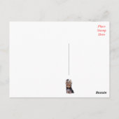 Yorkshire Terrier Puppy Dog Blank Roze Briefkaart (Achterkant)