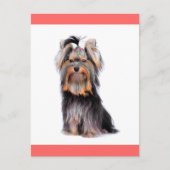 Yorkshire Terrier Puppy Dog Blank Roze Briefkaart (Voorkant)