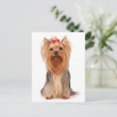 Yorkshire Terrier Puppy Dog Blank Yorkie Briefkaar Briefkaart (Staand voorkant)