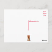 Yorkshire Terrier Puppy Dog Blank Yorkie Briefkaar Briefkaart (Achterkant)