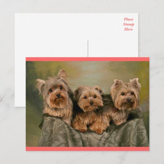 Yorkshire Terrier Puppy Dog Greeting Briefkaart (Voorkant / Achterkant)