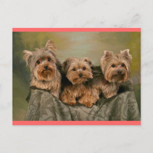 Yorkshire Terrier Puppy Dog Greeting Briefkaart
