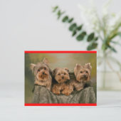Yorkshire Terrier Puppy Dog Greeting Briefkaart (Staand voorkant)