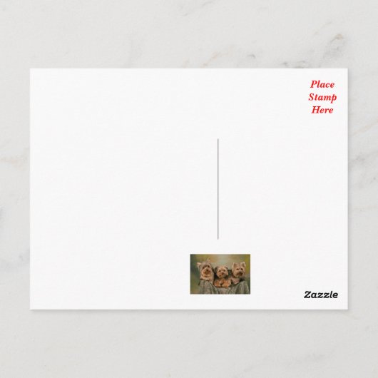 Yorkshire Terrier Puppy Dog Greeting Briefkaart (Achterkant)