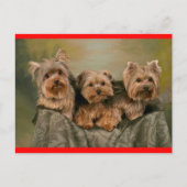 Yorkshire Terrier Puppy Dog Greeting Briefkaart (Voorkant)