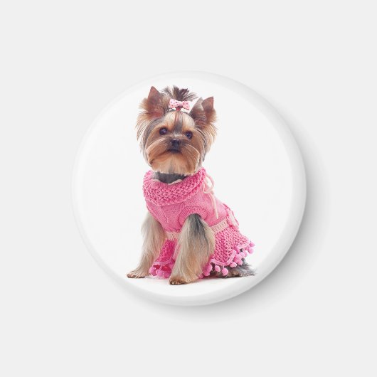 Yorkshire Terrier Puppy Dog in een Roze Dress Magn Magneet (Voorkant)