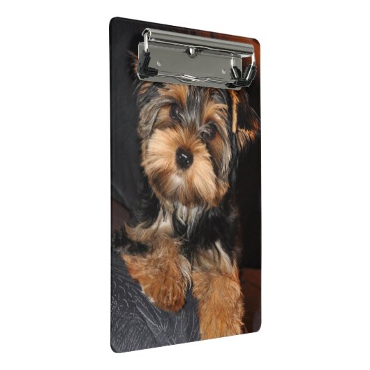 Yorkshire Terrier Puppy Dog Mini Klembord (Schuin)