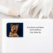 Yorkshire Terrier Puppy Etiket (Insitu)