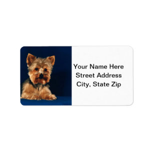 Yorkshire Terrier Puppy Etiket