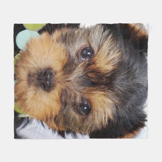 Yorkshire Terrier Puppy Fleece Deken (Voorkant (Horizontaal))