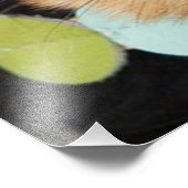 Yorkshire Terrier Puppy Foto Afdruk (Hoek)