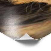 Yorkshire Terrier Puppy Foto Afdruk (Hoek)