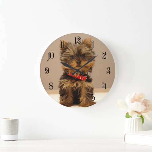 Yorkshire Terrier Puppy Grote Klok (Huis)