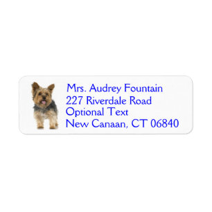 Yorkshire Terrier Puppy Hond Retouradres Label