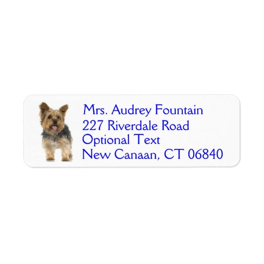 Yorkshire Terrier Puppy Hond Retouradres Label (Voorkant)