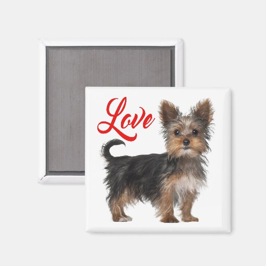 Yorkshire Terrier Puppy Hond Rood Liefde Magneet (Voorkant / Achterkant)