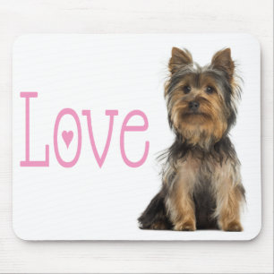 Yorkshire Terrier Puppy Hond Rood Muismatje Muismat