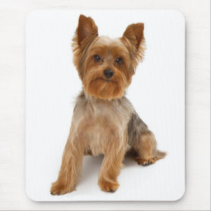Yorkshire Terrier Puppy Hond Roze Muismat