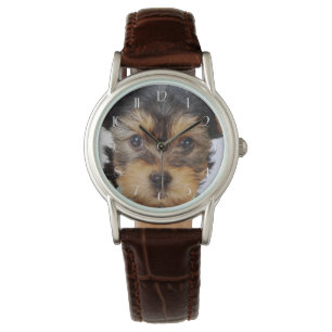 Yorkshire Terrier Puppy Horloge