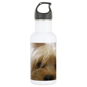 yorkshire terrier puppy huisdier cute hond gezicht waterfles