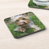 Yorkshire Terrier Puppy - "jjhelene design" Bier Onderzetter (Linkerzijde)