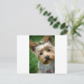 Yorkshire Terrier Puppy - "jjhelene design" Briefkaart (Staand voorkant)