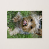 Yorkshire Terrier Puppy - "jjhelene design" Legpuzzel (Horizontaal)