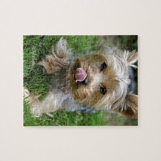 Yorkshire Terrier Puppy - "jjhelene design" Legpuzzel (Horizontaal)