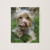 Yorkshire Terrier Puppy - "jjhelene design" Legpuzzel (Verticaal)