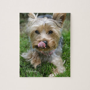 Yorkshire Terrier Puppy - "jjhelene design" Legpuzzel