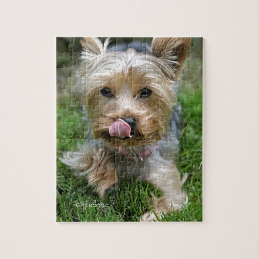 Yorkshire Terrier Puppy - "jjhelene design" Legpuzzel (Verticaal)
