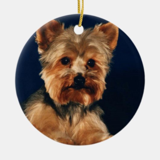 Yorkshire Terrier Puppy Keramisch Ornament (Voorkant)
