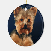 Yorkshire Terrier Puppy Keramisch Ornament (Links)