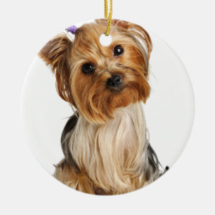 Yorkshire Terrier Puppy Keramisch Ornament