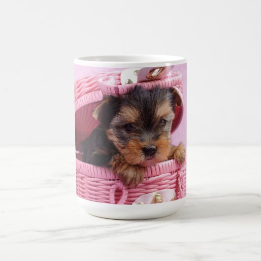 Yorkshire terrier puppy koffiemok (Center)